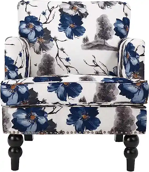 Christopher Knight Home Boaz Fabric Club Chair